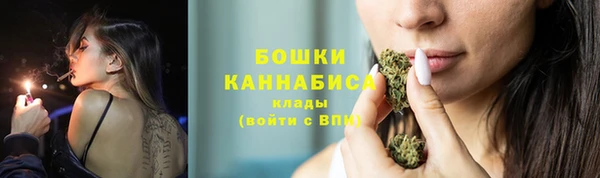 стафф Михайлов