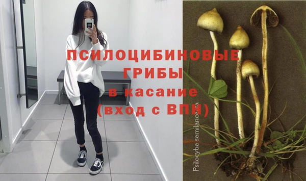 PSILOCYBIN Дмитров