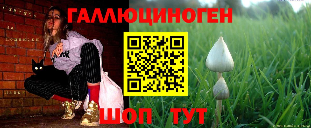 Галлюциногенные грибы Psilocybine cubensis  Вход с VPN  как найти закладки  Галлюциногенные грибы Psilocybe  Конаково 