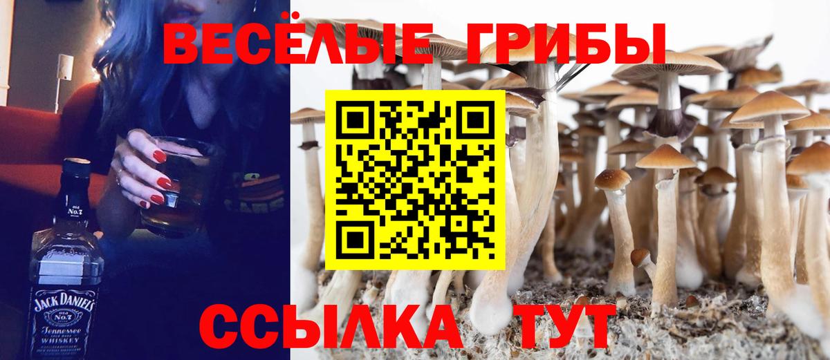 Галлюциногенные грибы мухоморы Конаково