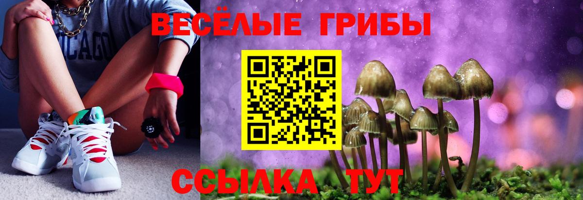 Галлюциногенные грибы Cubensis Конаково